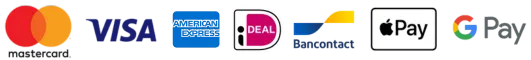 Accepted secure payment methods for Beamsiptv subscriptions including Visa Mastercard and PayPal